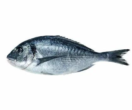 shutterstock_272964287-scaled